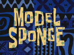 Model Sponge