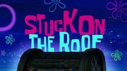 Stuck on the Roof