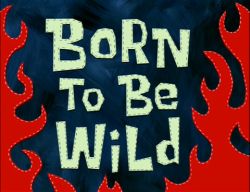 Born To Be Wild