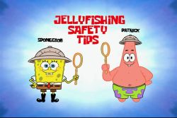 Jellyfishing Safety Tips