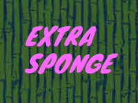 Extra Sponge.png