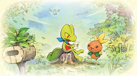 pokemon_mystery_dungeon_dx_treecko_torchic.jpg