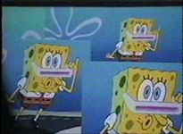 Spunch bob checcin out dat ::dolphin noise::.png