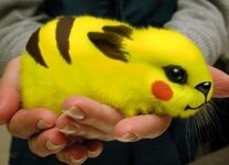 22 Real Life Pokémon Creatures.jpeg