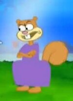 images (31).jpeg