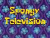 Spongy Television.png