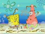 spongebob - Pet or Pests