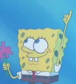 protobob.jpg protobob.jpg