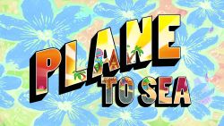 Plane to Sea